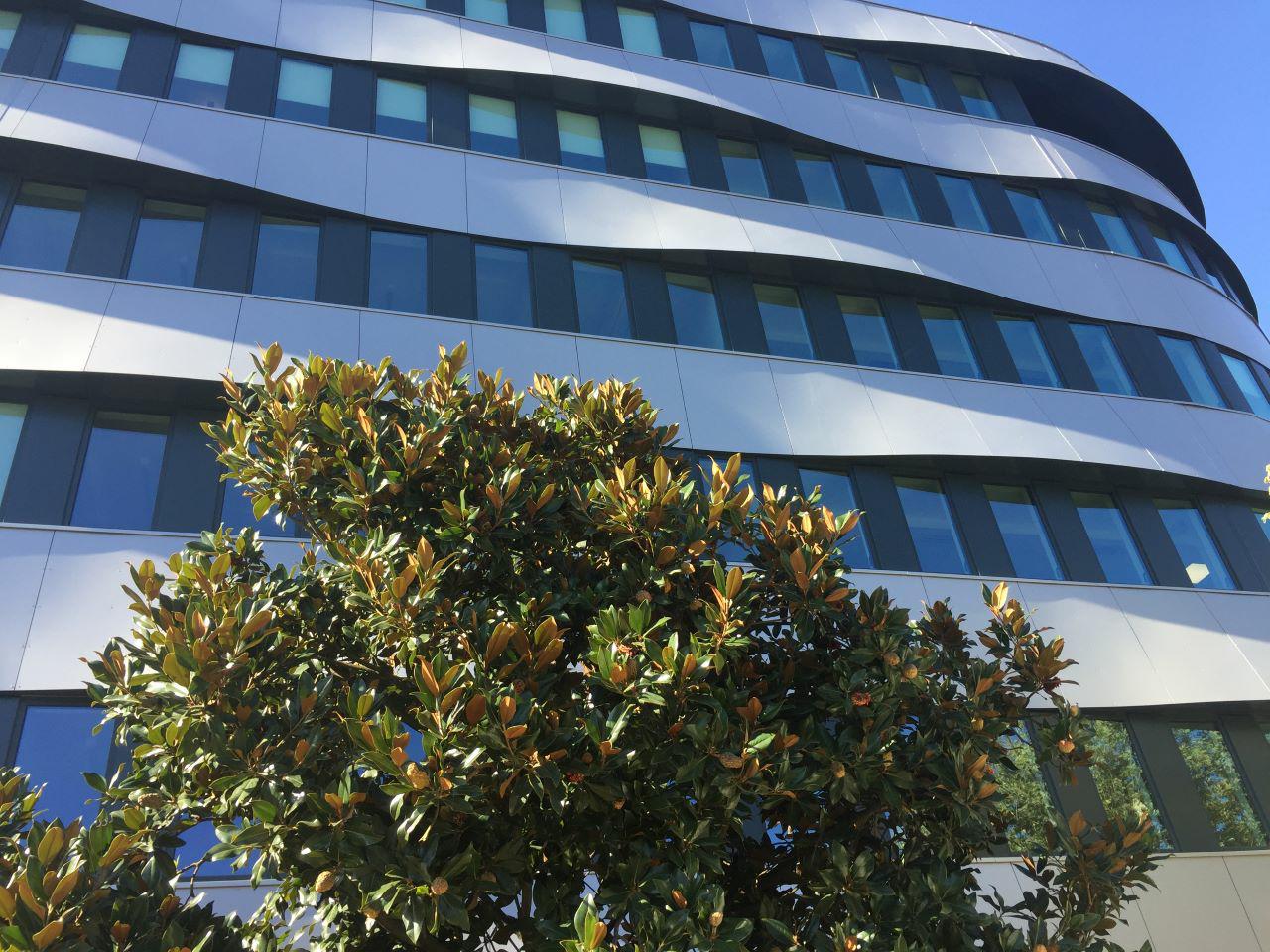 Bureau Lyon 691m² Location bureau Lyon Rhône OLBUR2419115 1